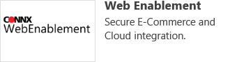 Web Enablement- Secure E-Commerce and Cloud Integration