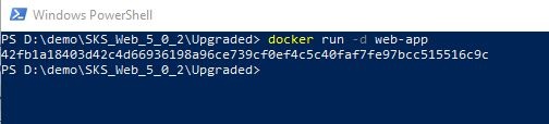 docker_run-1