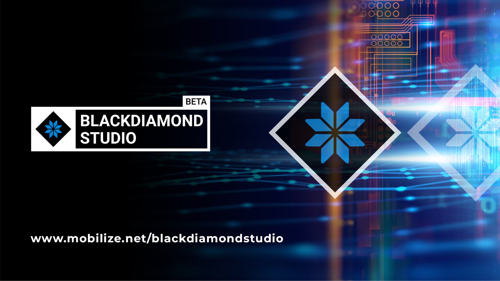 BlackDiamondStudio-background-with-logo-url-1600x900