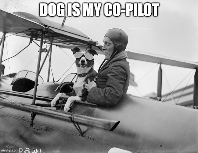 dog is my copilot