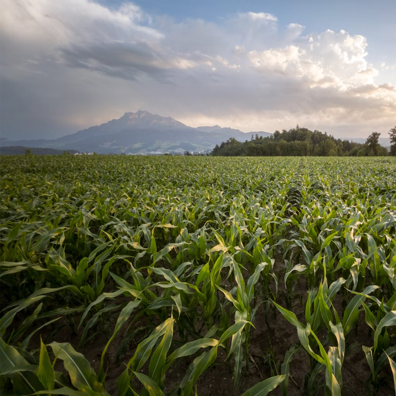 Revolutionizing Agricultural Software with Cloud Modernization